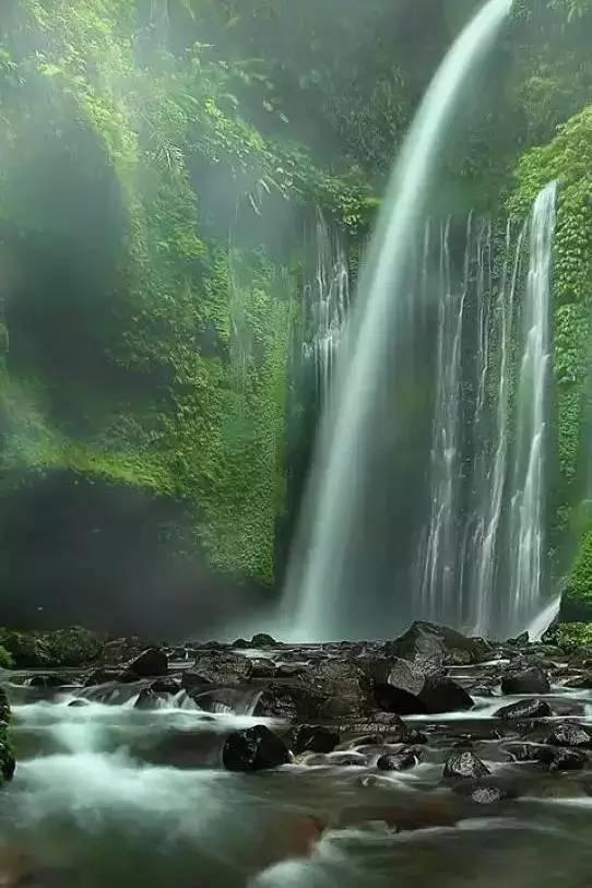 失踪的书籍