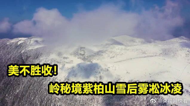 救援古代国王