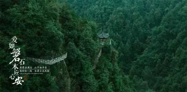 4岁哥哥照顾二胎妹妹,怕妹妹摔腿软了也不松手,妈妈看了太心疼