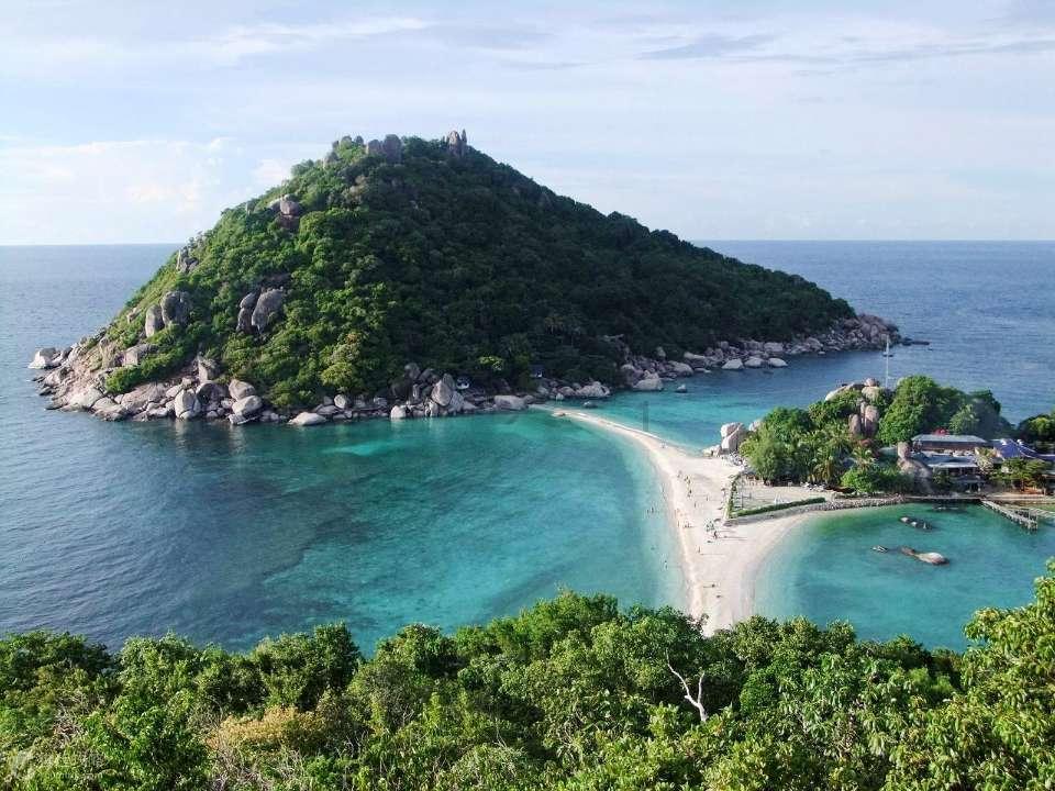 为什么我渴望爱情，不但没得到爱情，反倒我爸妈还把我送去医院关起来？游戏画面