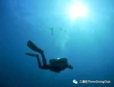 拯救可爱猫王