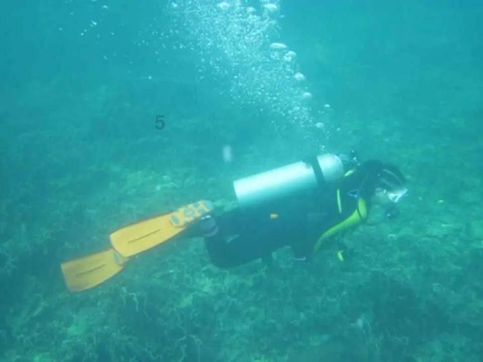 逃出郊外大别墅
