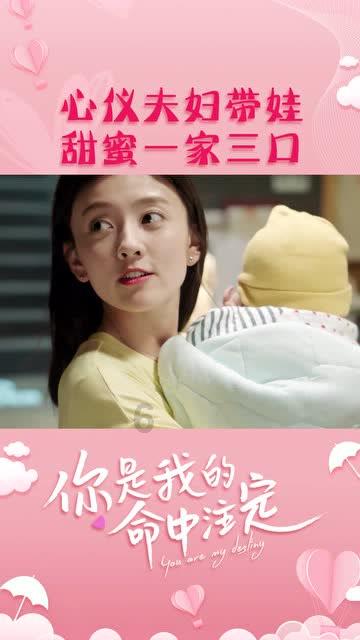 拯救蝙蝠家族