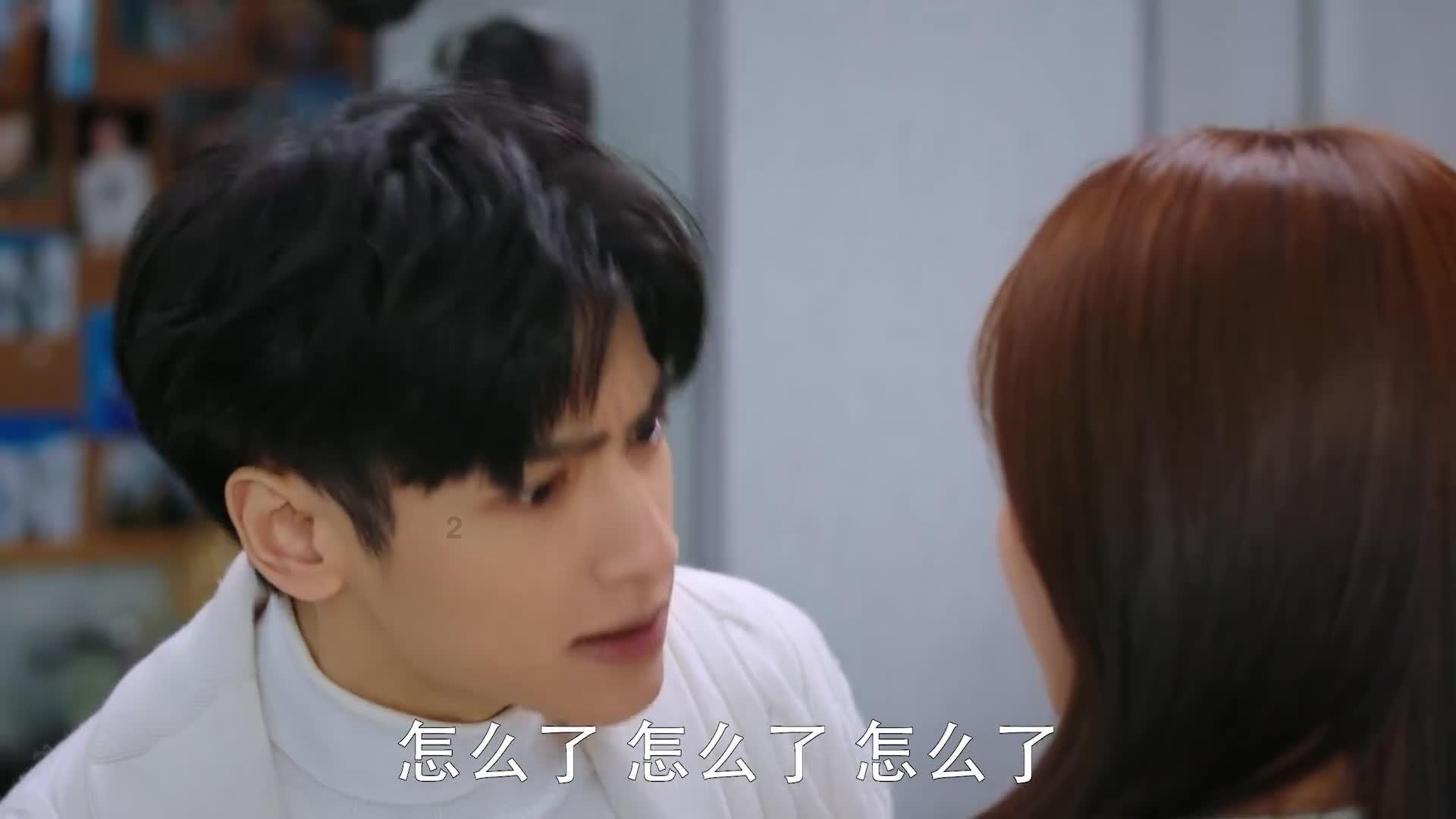 救援可爱的狮子