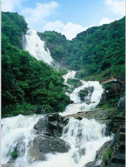 蝙蝠侠：阿甘骑士