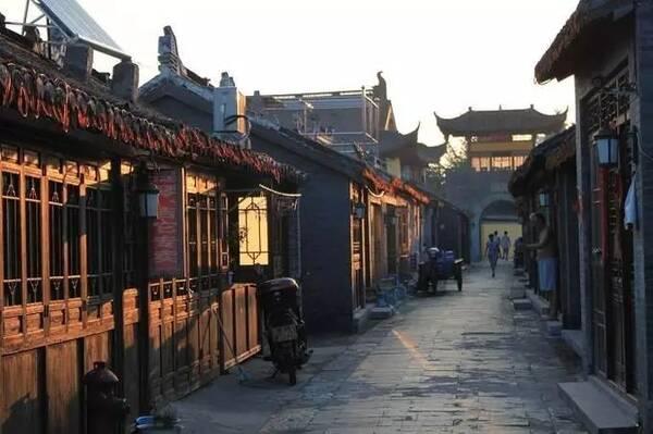 拯救机灵鸟